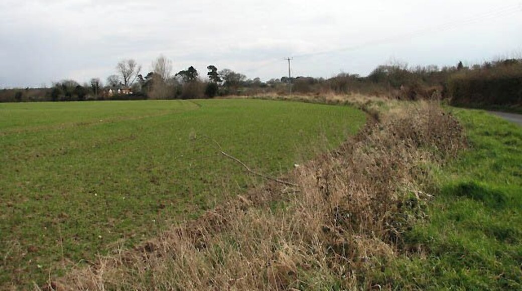 Field bordering Hall Road The house seen in the background (at left), Rivermount, is located near the North Walsham and Dilham canal.