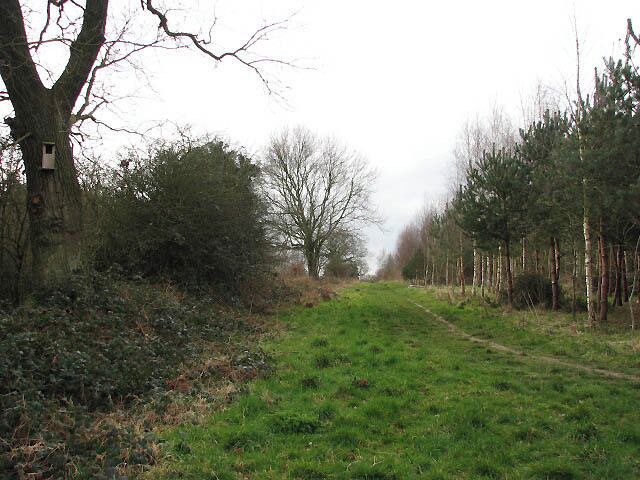 Footpath through Pigney's Wood A nest box for owls has been affixed to the tree at left. Pigney's Wood (marked as Pigrey's Wood on OS maps but all signs and information boards put up in the area give its name as Pigney's Wood) was purchased in 1992 by the North Norfolk Community Woodland Trust. It consists of 12 acres of meadowland adjoining the North Walsham and Dilham canal, 5 acres of existing woodland and approximately 35 acres of new woodland. A number of public footpaths traverse the site.