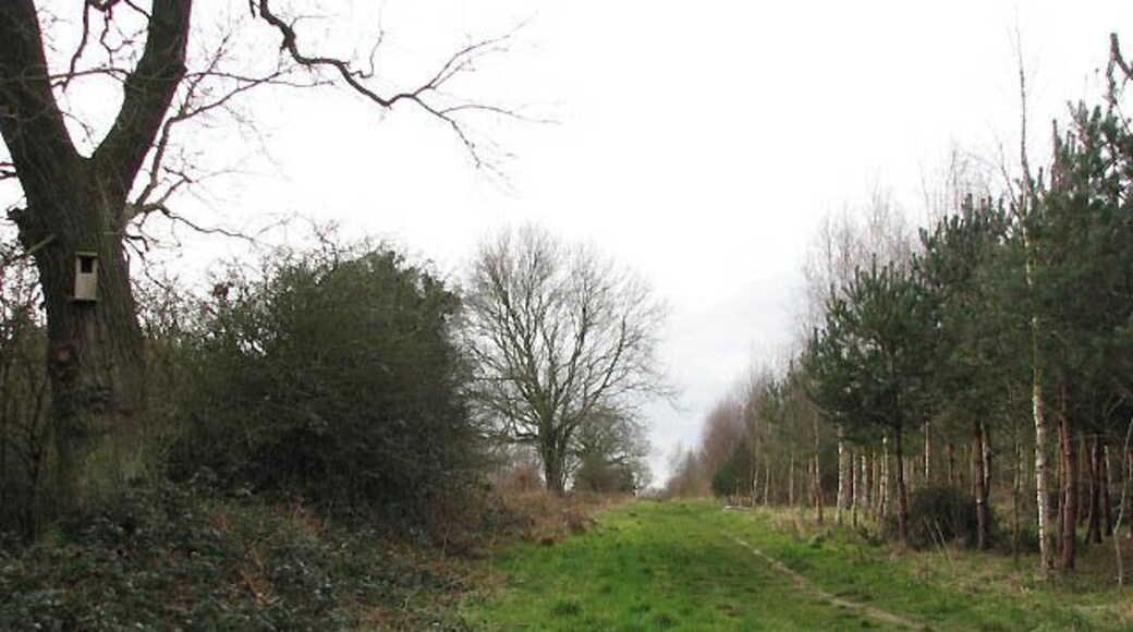 Footpath through Pigney's Wood A nest box for owls has been affixed to the tree at left. Pigney's Wood (marked as Pigrey's Wood on OS maps but all signs and information boards put up in the area give its name as Pigney's Wood) was purchased in 1992 by the North Norfolk Community Woodland Trust. It consists of 12 acres of meadowland adjoining the North Walsham and Dilham canal, 5 acres of existing woodland and approximately 35 acres of new woodland. A number of public footpaths traverse the site.
