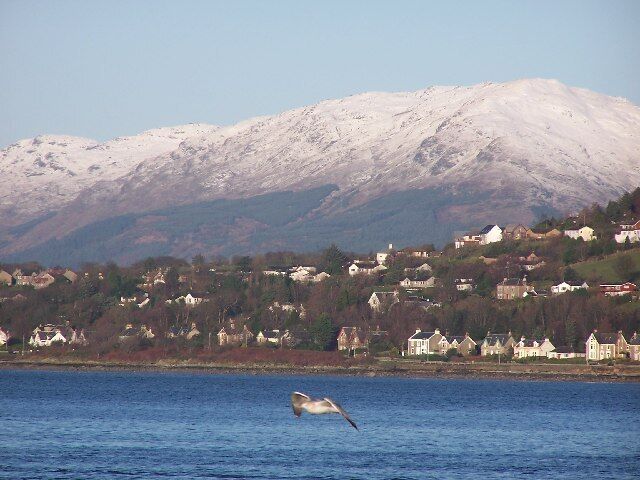 A bird flying over a body of water with a snow-covered mountain in the background and houses along the shore.