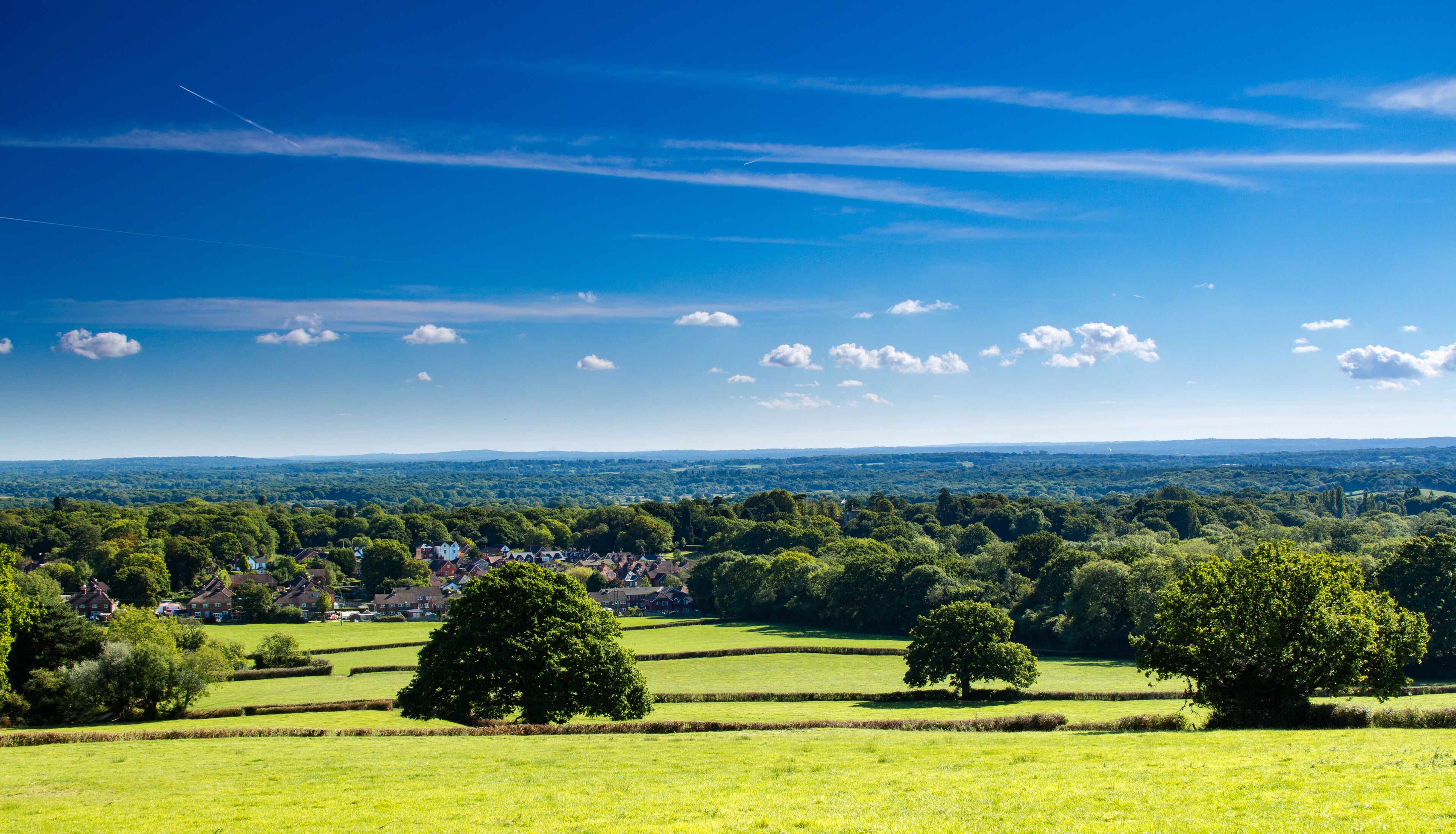 A rural landscape with rolling green fields, scattered trees, and a distant village.