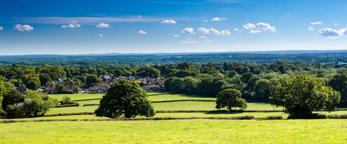 A rural landscape with rolling green fields, scattered trees, and a distant village.