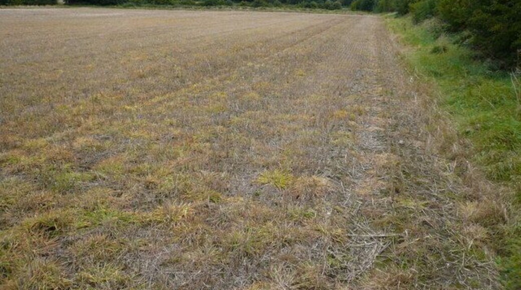 Footpath view across the Amber Valley Looking in the general direction of Wessington, and on the horizon Crich Stand.