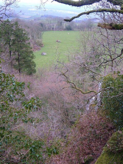 View from Bottor Rock Looking south by east through the trees from the tor.