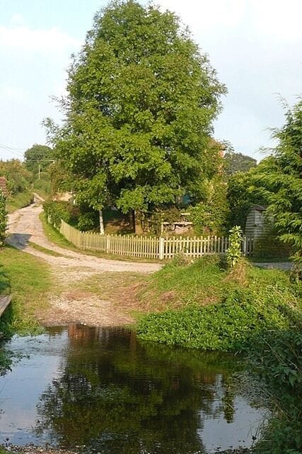 Fording the Pang This is a bridleway that comes down to the infant River Pang at a ford. The house St. Abb's is behind the trees.