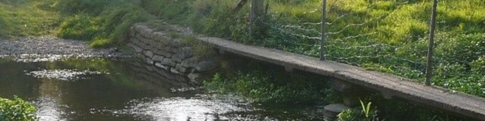 River Pang An infant River Pang flows under a walkway and through a ford adjacent to the house called St. Abb's.
