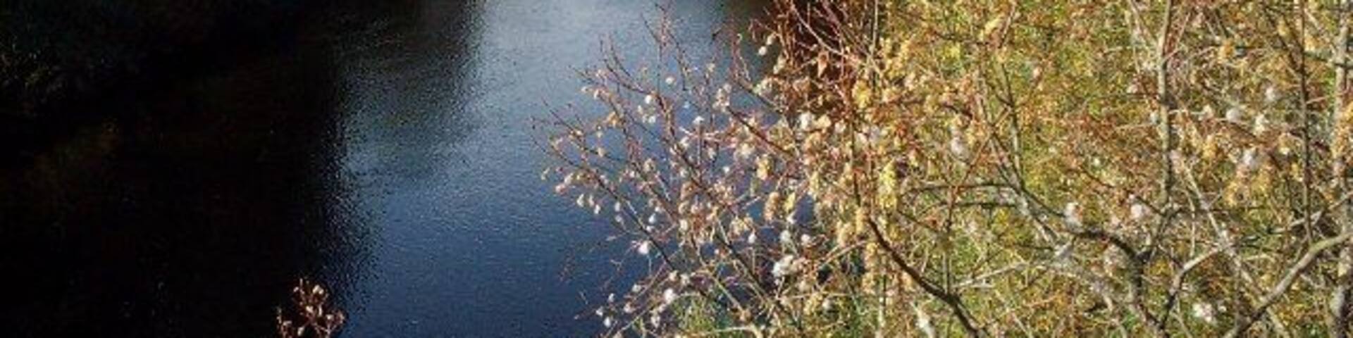 View up Ettrick Burn from Ramseycleuch Bridge.