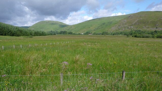 Ettrick Marshes An area fenced off to protect it from the ravagings of grazing animals. The marshes are a home to wonderful flora as well as many animals and fox and roe deer were seen here this morning. Scabcleuch Hill the prominent hill.