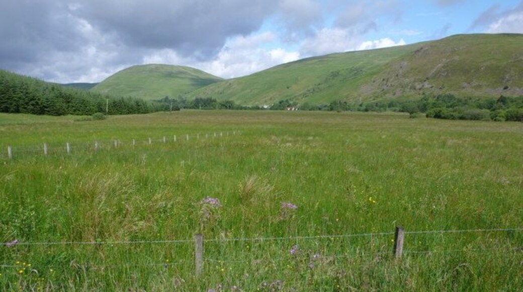 Ettrick Marshes An area fenced off to protect it from the ravagings of grazing animals. The marshes are a home to wonderful flora as well as many animals and fox and roe deer were seen here this morning. Scabcleuch Hill the prominent hill.