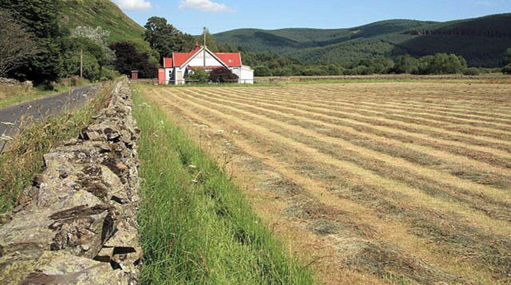 Farmland at Ettrick A recently cut field with the Boston Memorial Hall in the background.