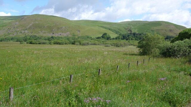 Ettrick Marshes An area well occupied by many butterflies and dragonflies. Fox and roe deer were also seen here today. Nearby is Midgehope which is well named as the midgie was very active here on this muggy morning.