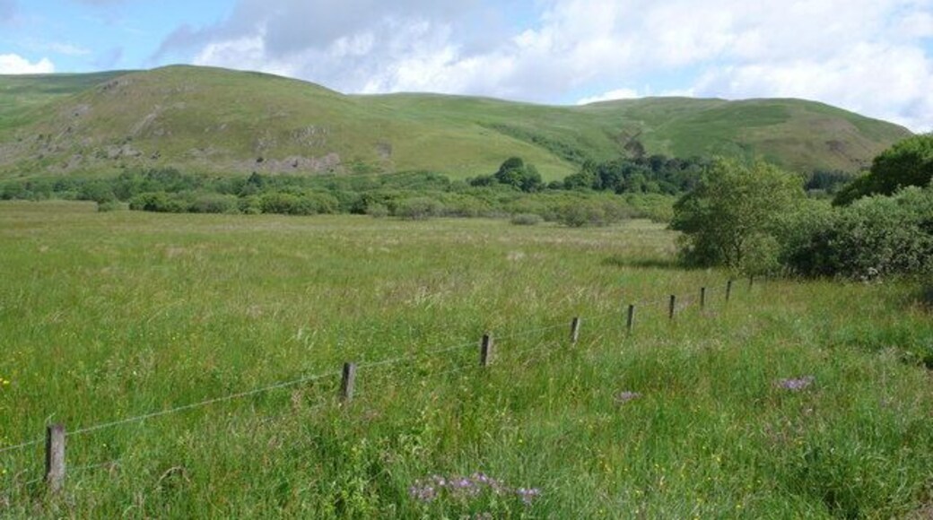 Ettrick Marshes An area well occupied by many butterflies and dragonflies. Fox and roe deer were also seen here today. Nearby is Midgehope which is well named as the midgie was very active here on this muggy morning.