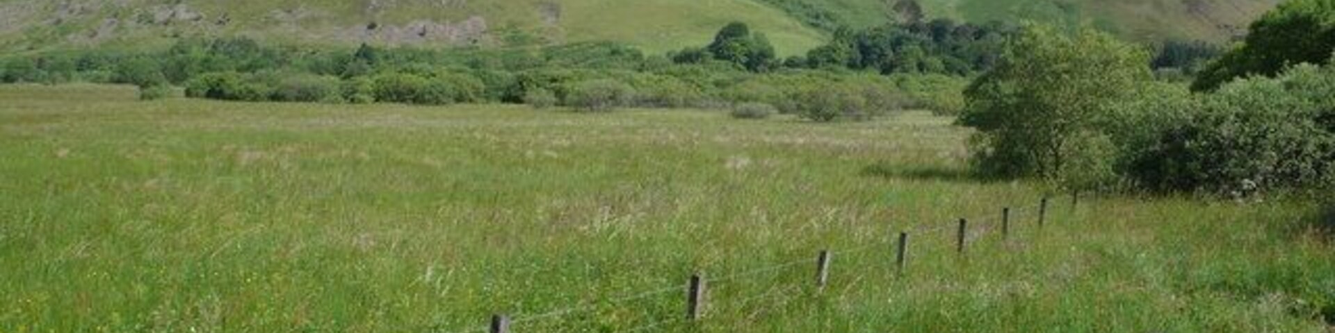 Un campo cubierto de hierba con una cerca, colinas onduladas y árboles dispersos al fondo.