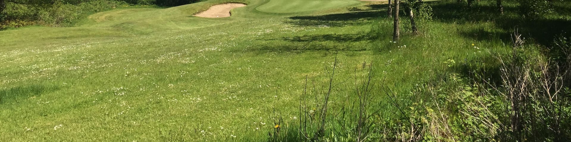 15th hole at Garnant Golf Club. View along the fairway of the 15th hole at Garnant Golf Club.