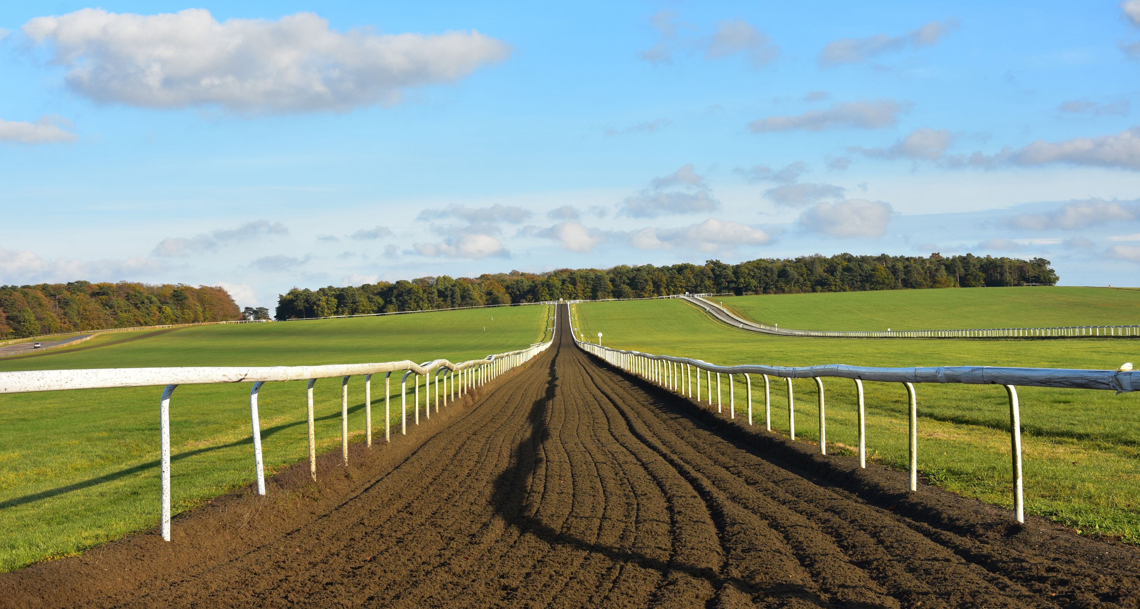 A racecourse with a dirt track, white railings, and green fields.