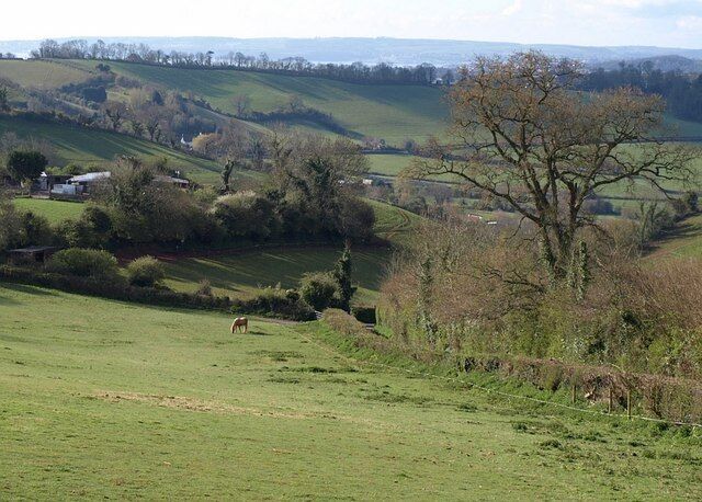 View from Haccombe Cross Looking down a steep field beside Pitcombe Lane (right), from the ridge road between Barton and Milber. On the left is an animal sanctuary. Below is the Daccombe valley.