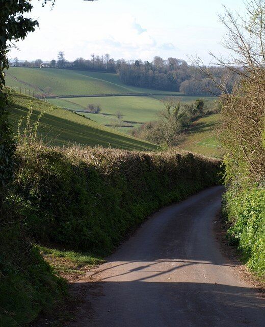 คอฟฟินสเวลล์