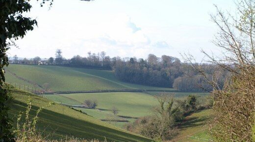 คอฟฟินสเวลล์