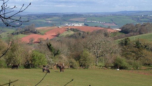 Field beside Deer Park Lane Horses graze in an irregularly-shaped field on the hillside north of the green (muddy) lane. The view beyond is across Haccombe and the round hill with the ploughed fields to the far side of the Teign estuary, with Wear Farm caravan site prominent.