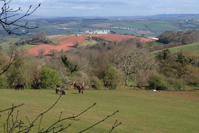 A rural landscape with rolling hills, a few grazing animals, and a distant village.