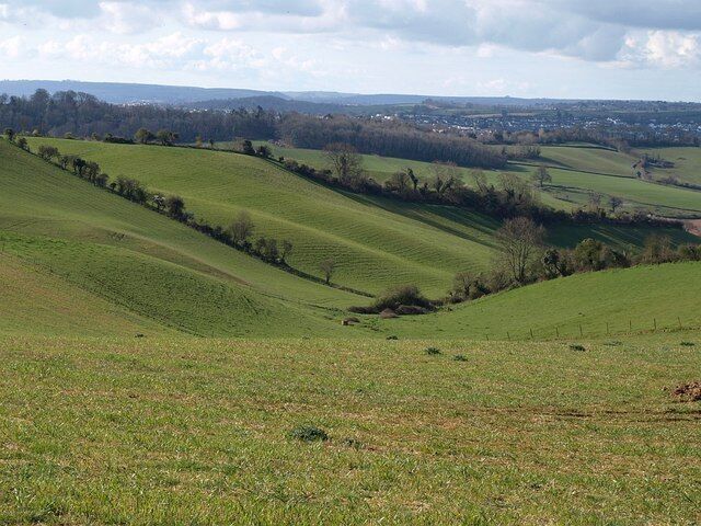 View from Ridge Road at Deer Park Lane junction Only the foreground part of the field, dipping away out of sight, is in the viewpoint square. The valley, in SX8968, drops down to join the Aller Brook valley.