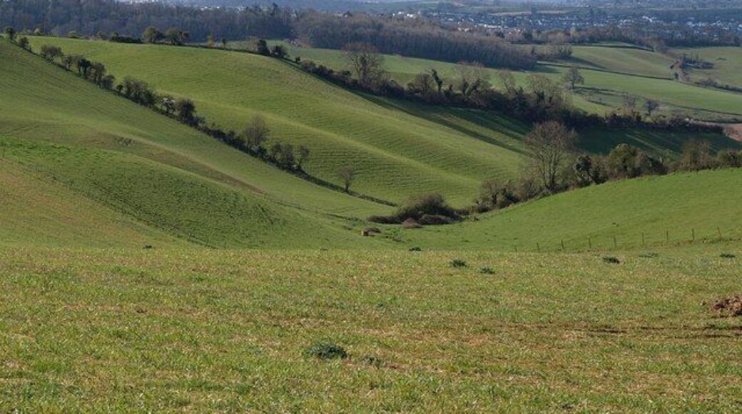 View from Ridge Road at Deer Park Lane junction Only the foreground part of the field, dipping away out of sight, is in the viewpoint square. The valley, in SX8968, drops down to join the Aller Brook valley.