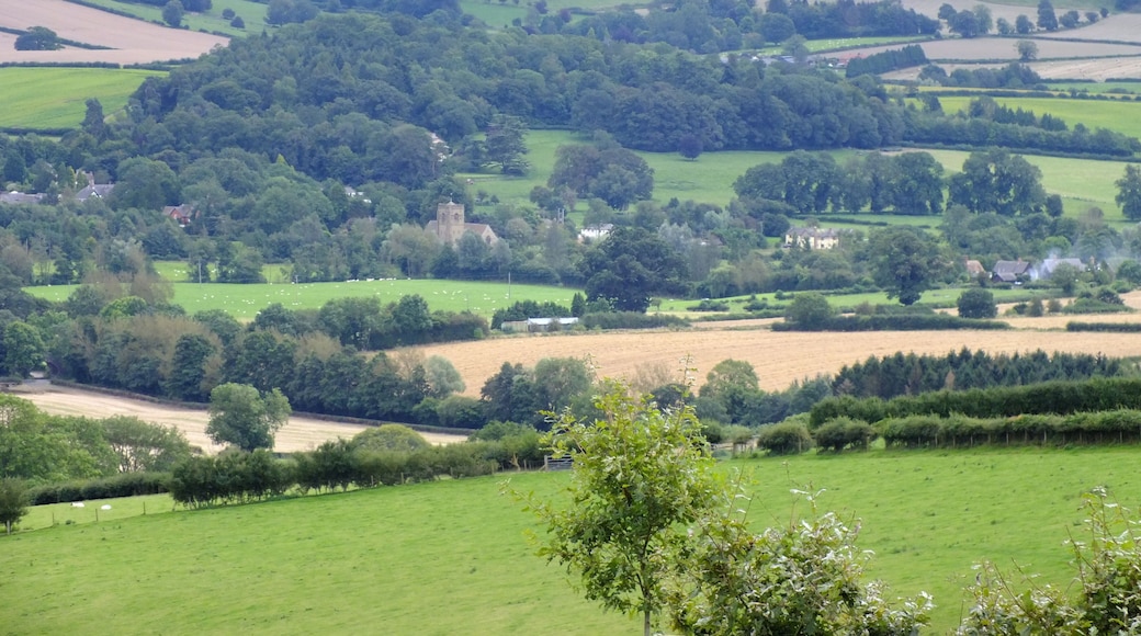 View of Clungunford from Clunbury Hill