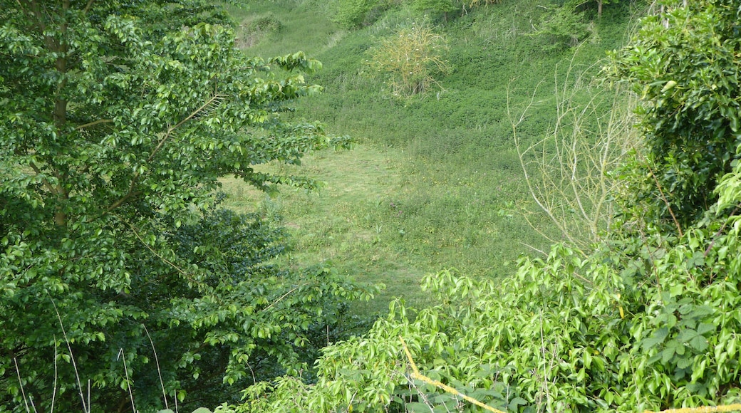 Chillesford Church Pit is a geological Site of Special Scientific Interest in Chillesford in Suffolk.