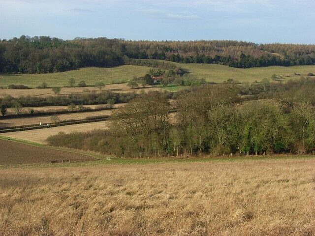 Meadow and woodland, West Wycombe Looking down on the southern tip of Pimlock's Wood from beside Kit's Wood. Across the valley is the ridge to the north of West Wycombe Hill.