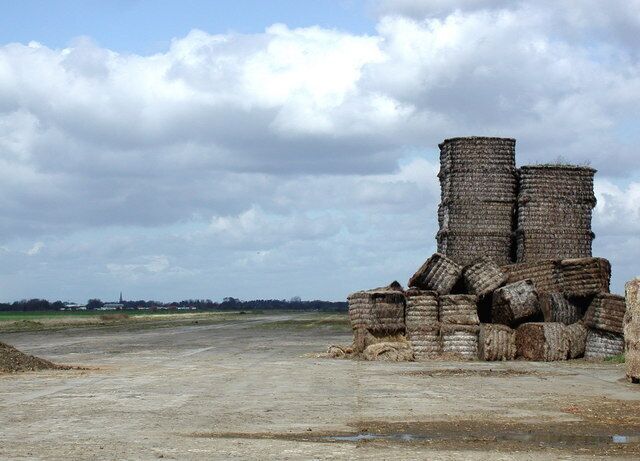 Burn Airfield. Looking north from the southern end of the main runway. The tall spire of St Wilfrids Church in Brayton 753880 can just be seen on the horizon towards the left of the picture. The airfield was home to 578 Squadron of the Royal Air Force from 1944 to 1945 and is now used by Burn Glider Club.