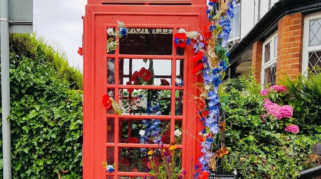 Just outside Brookwood Train Station in Woking, UK is this beautiful phone box covered in flowers. This brightened my day #nature #lifeatexpedia
