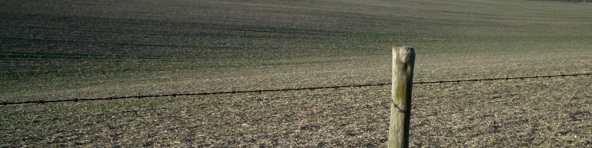 Churn Estate Looking towards Didcot. Just a faint tinge of green starting from this years crop. Or maybe it's weeds.