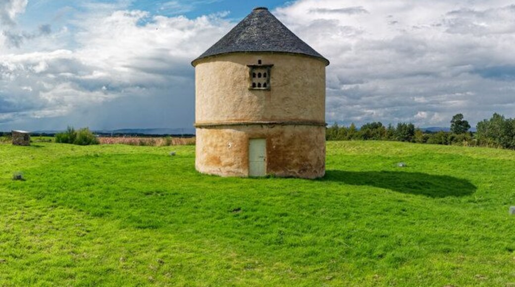 Boath Dooocot above Auldearn, Nairnshire