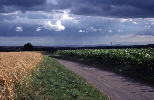 East Hoe Road in the late afternoon