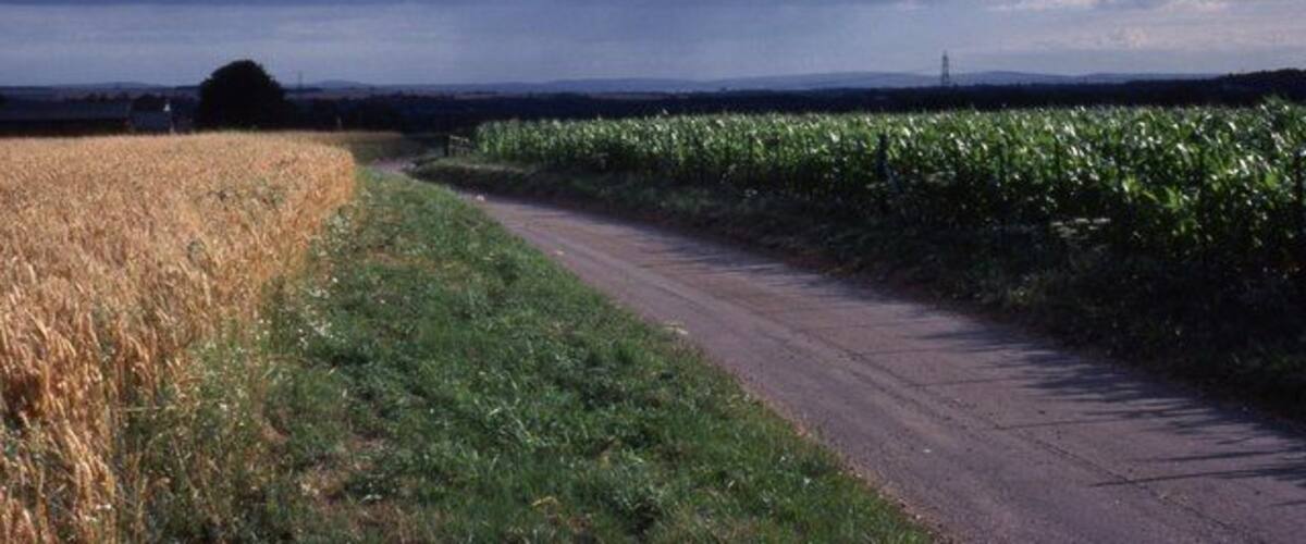 East Hoe Road in the late afternoon