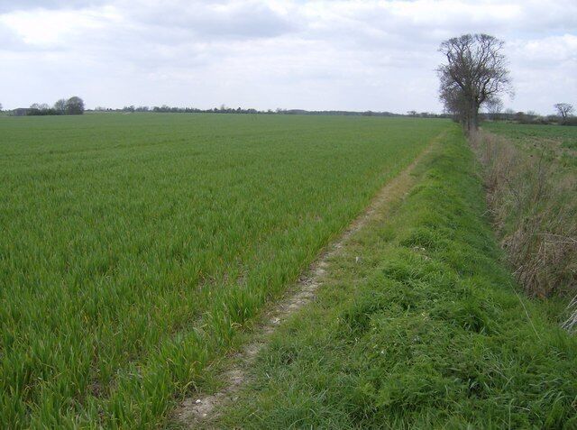 Near Moat Farm The northern part of this square is about as featureless as it gets, comprising flat arable farmland in big fields. At least this field boundary (not a public footpath) is shown on the 1:25K map.