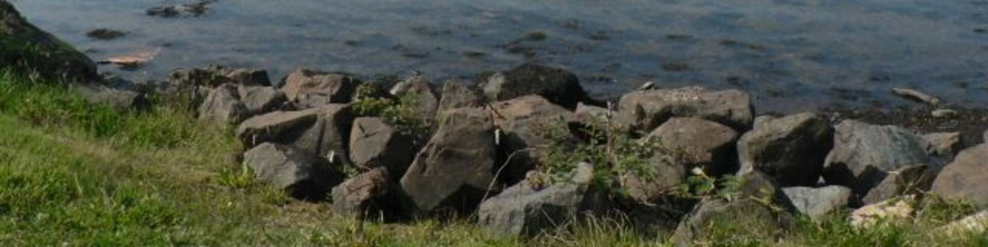 Sandbank: view up Holy Loch A fine view up Holy Loch from the shore at Sandbank.