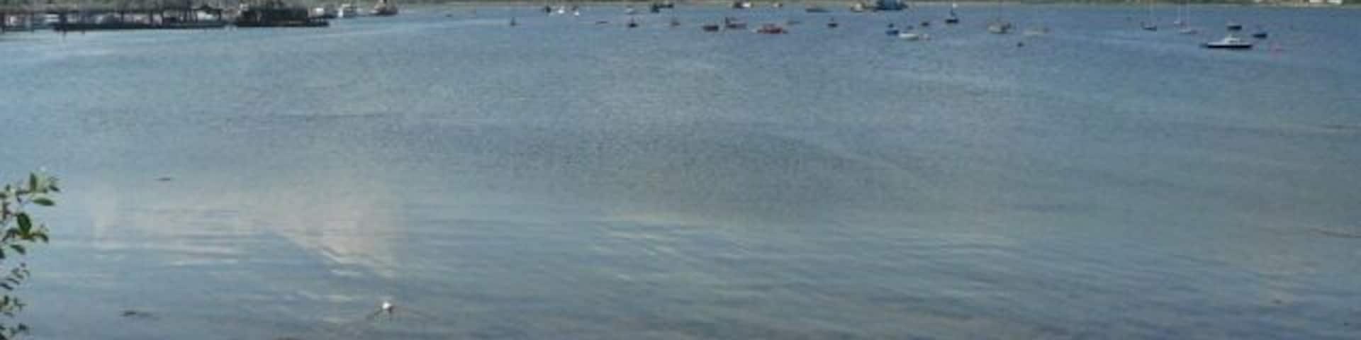 Sandbank: view up Holy Loch A fine view up Holy Loch from the shore at Sandbank.