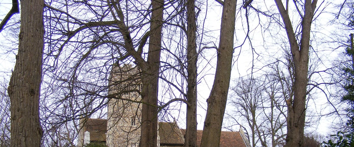 A stone staircase leading up to a stone building surrounded by trees.