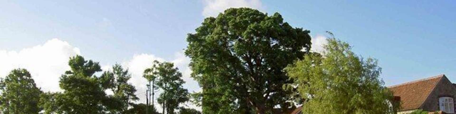 Old Church Farm Rudgeway The Church is hidden by the tree.