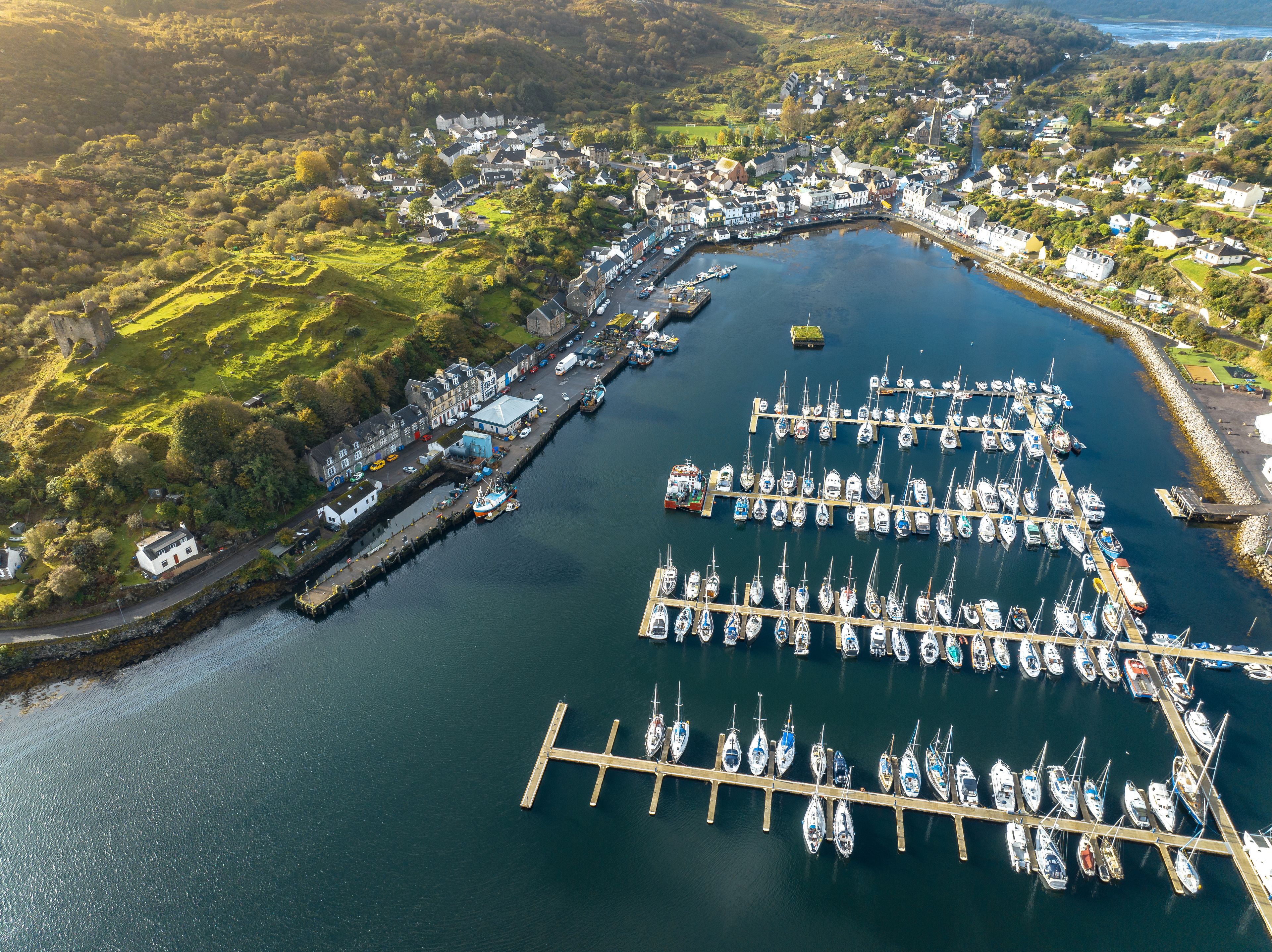 An aerial view of a coastal town with a marina filled with boats, surrounded by greenery and residential buildings.