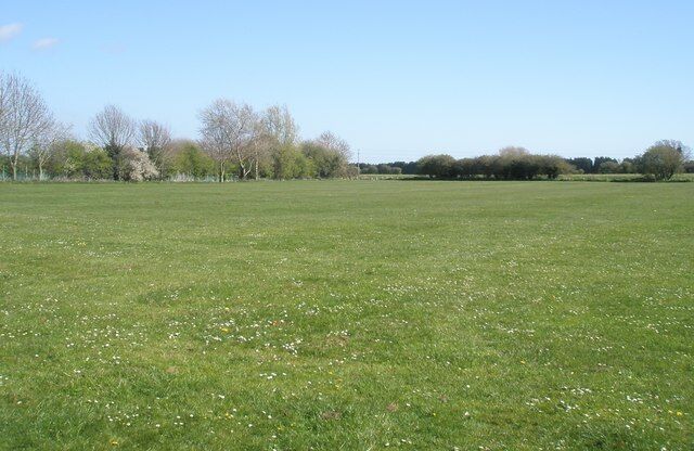 A grassy field with trees in the background.