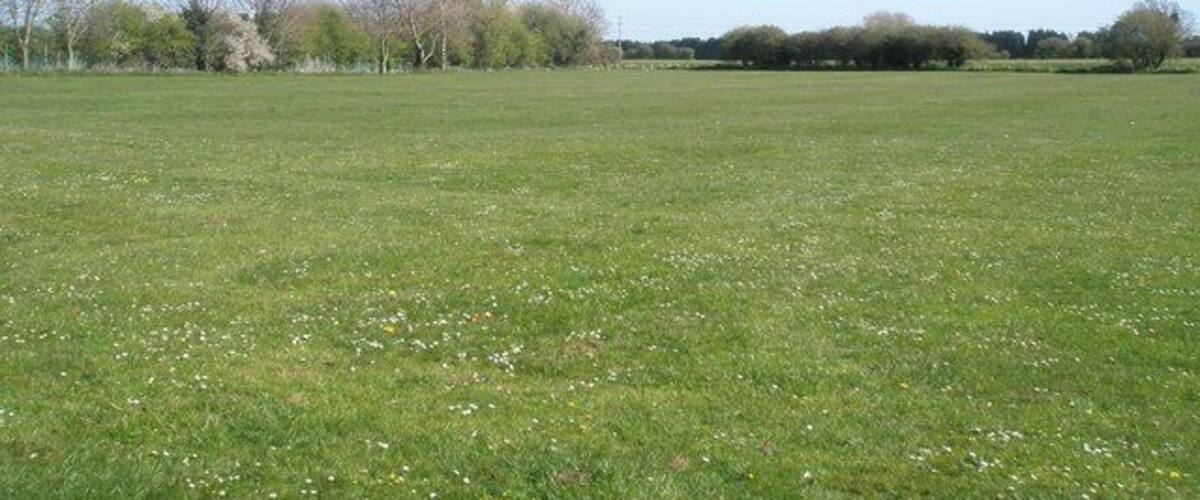 A grassy field with trees in the background.