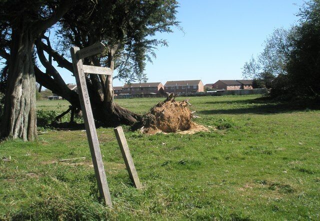 Looking back towards Fordwater Gardens from the footpath to Ford