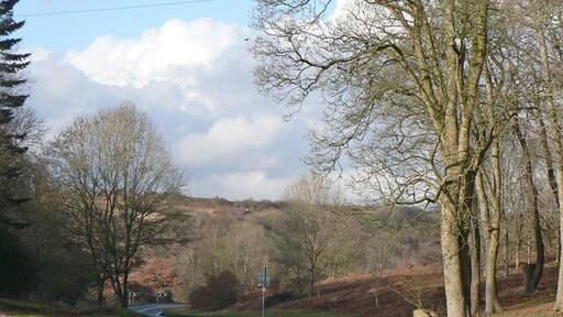 سانت برايدس ميجور