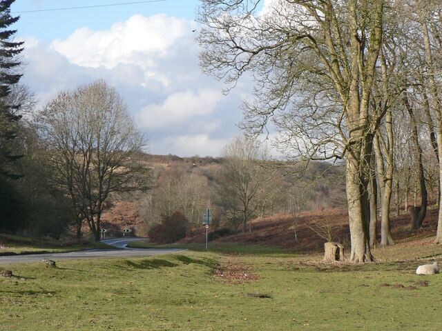 A rural landscape with a road, trees, and a hill in the background.