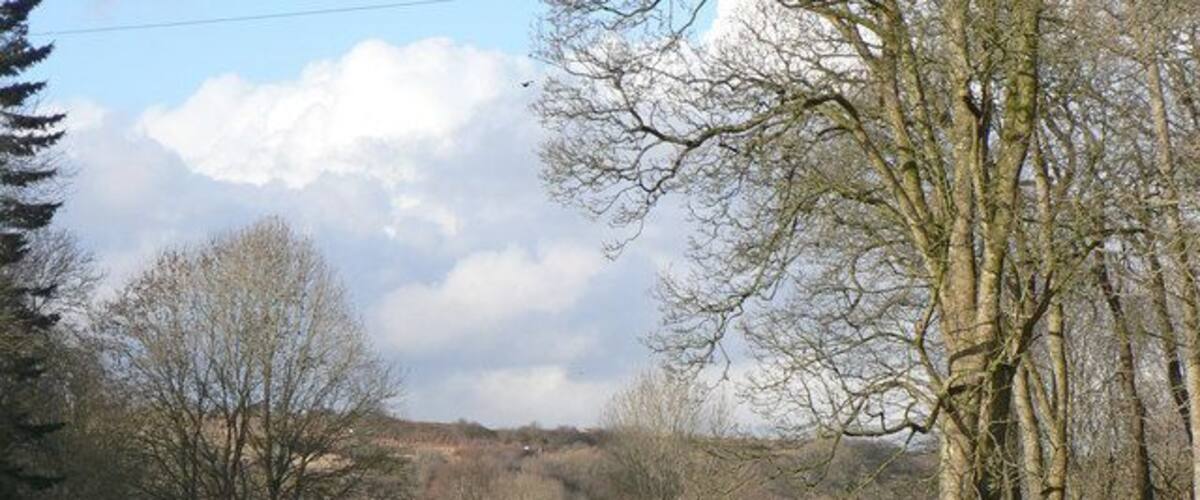 A rural landscape with a road, trees, and a hill in the background.