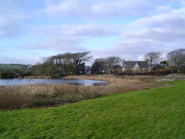 Village pond at St Brides. This well known pond is the home of lots of ducks and other water birds. Located beside the Wick road and is opposite the popular Farmer's Arms pub (just out of picture)
