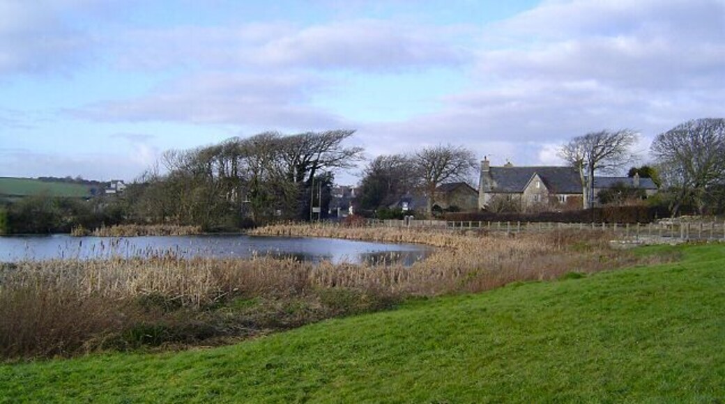 Village pond at St Brides. This well known pond is the home of lots of ducks and other water birds. Located beside the Wick road and is opposite the popular Farmer's Arms pub (just out of picture)