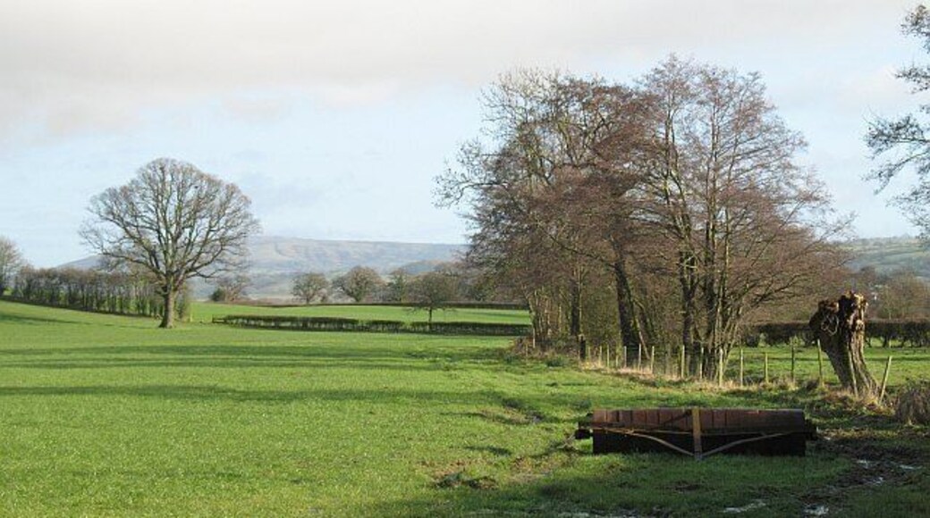 Farmland, Burley A view towards Brown Clee. In the foreground is a roller, a pollarded willow beside a watercourse and further back a line of mature oak trees shows the course of a removed hedge.